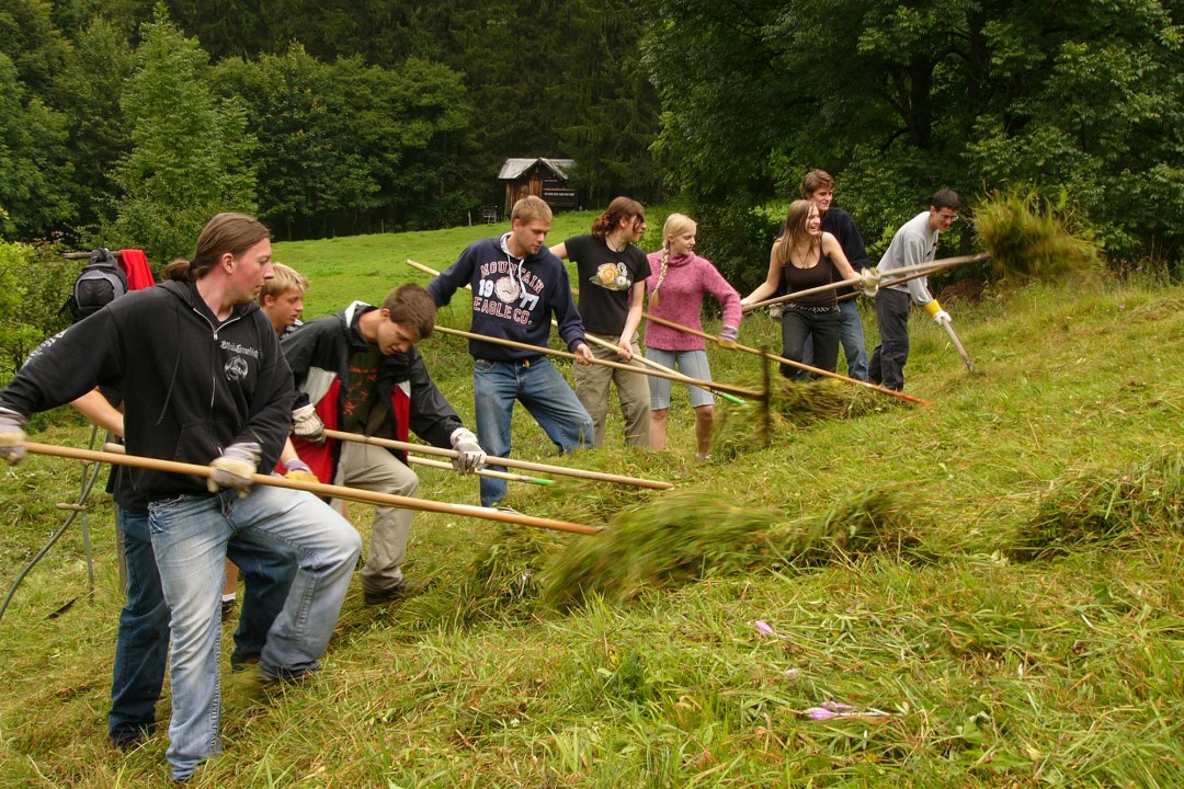 Neun Menschen haben einen Rechen in der Hand und rechen in einem Bergwald Gras | © R. Brode