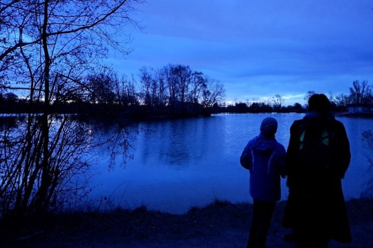 Birds and Breakfast | © Dr. Lisa Gill