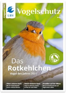 Rotkehlchen auf dem Cover des LBV-Magazins 02/2021