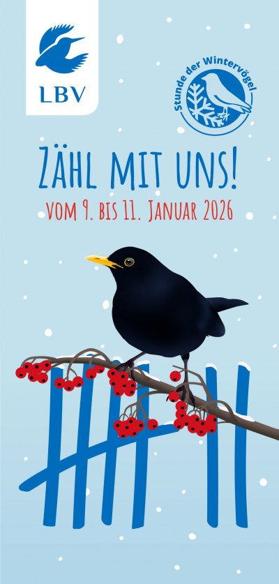 Flyer Stunde der Wintervögel 2026