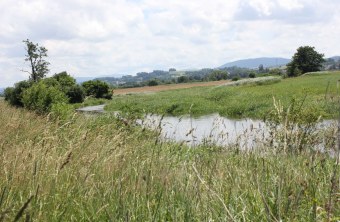 Cham | © Erika Babl (Cham)