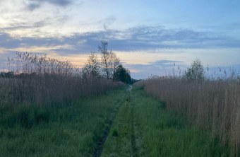 Feuchtgebiet | © Dawn Chorus