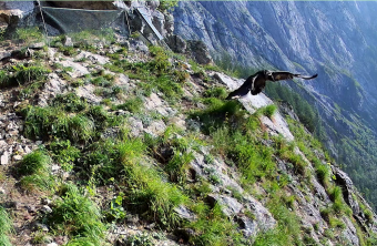 Generls Ausflug am 12.06.2025| © LBV-NPV-Webcam