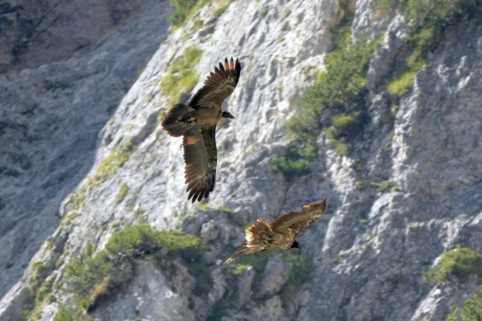 Generl und Vinzenz  |© Rupp Porti