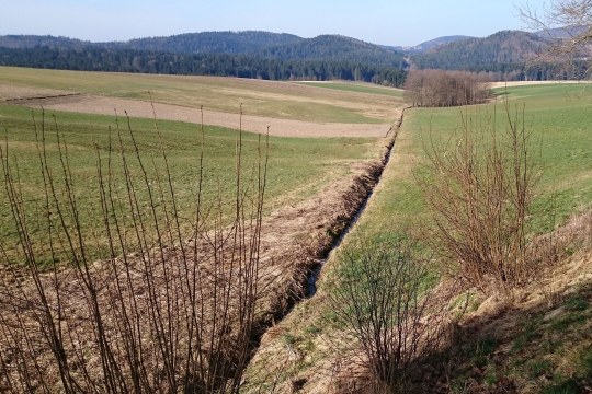 Kein Gewässerrandstreifen | © Maximilian Sehr