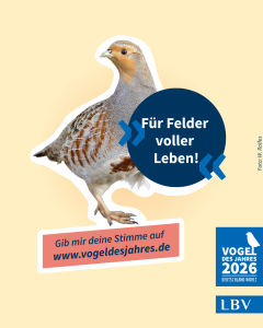 Ein Rebhuhn wird mit dem Slogan "Für Felder voller Leben!" auf einem LBV-Wahlplakat für den Vogel des Jahres 2026 präsentiert.