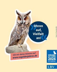 Eine Waldohreule sitzt auf einem Felsen mit dem Slogan "Ohren auf, Vielfalt an!" und dem LBV-Logo.