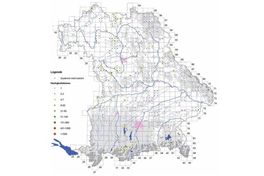Bayernkarte mit der Verbreitung der Bekassine
