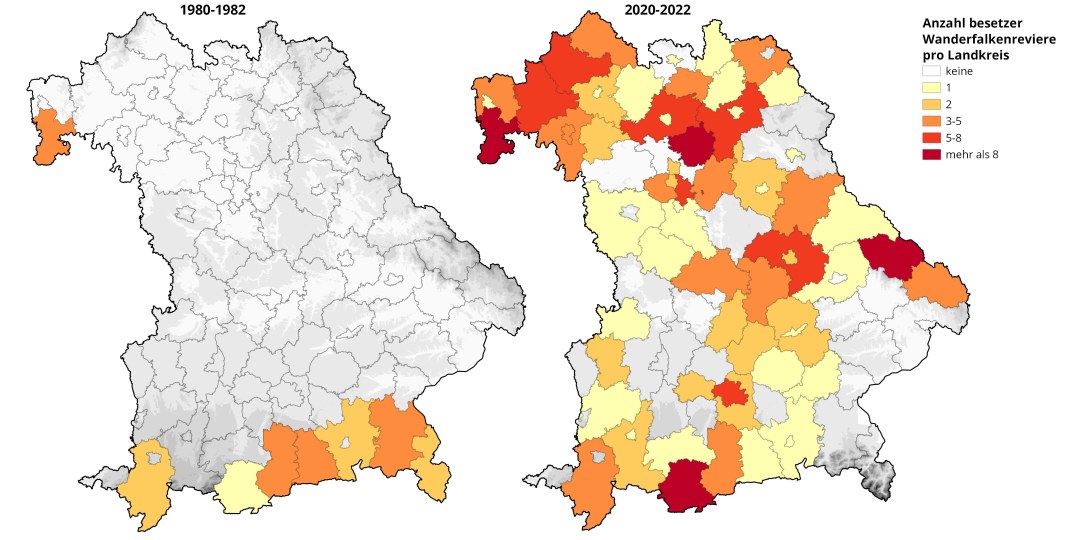 Verbreitung des Wanderfalken in Bayern beim Start des Artenhilfsprogramms 1982
