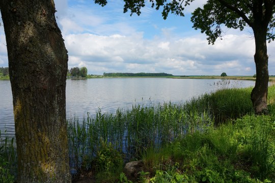 Kauerlacher Weiher | © Peter Bria