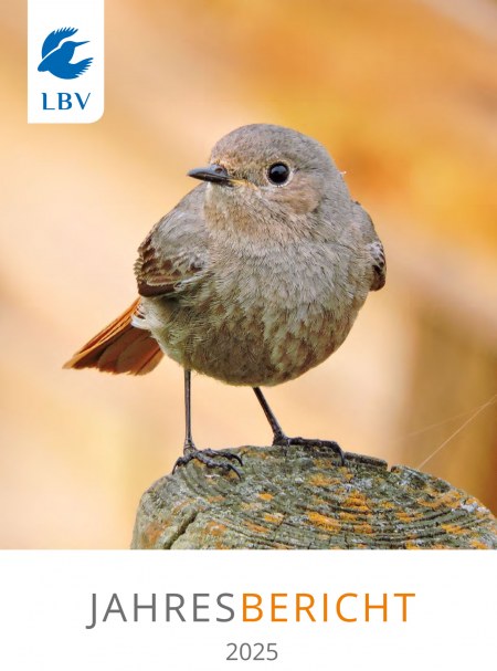 LBV-Jahresbericht 2025, Hausrotschwanz ist auf dem Cover