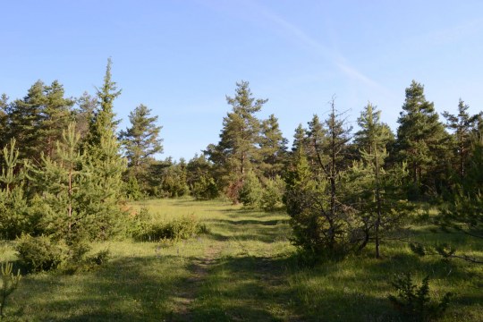 Laurachtal für die Große Hufeisennase | © Dr. Andreas von Lindeiner