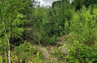 Stadt München | © Martin Frede (Stadt München)