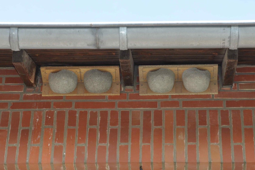 Nistkästen für Mehlschwalben an einem Dach | @ Rolf Thiemann