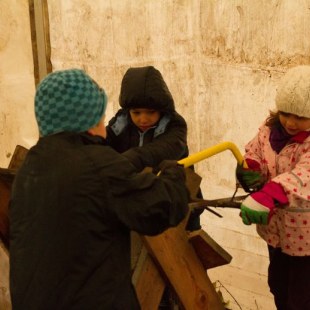 Schulgarten-Wettbewerb 2016 Grundschule St. Georgen Brennholz | © Grundschule St. Georgen
