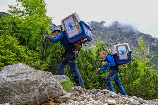 Toni Wegscheider und David Schuhwerk tragen die Bartgeier | © Hansruedi Weyrich