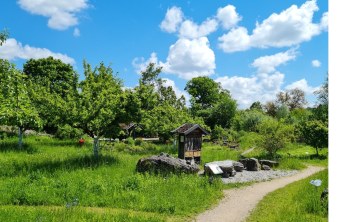 Grüne Landschaft mit Obstbäumen und einem Insektenhotel, LBV-Naturschutzgebiet im Sommer unter blauem Himmel.