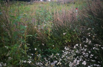 Weißenburg-Gunzenhausen | © Victor Rother (Weißenburg-Gunzenhausen)