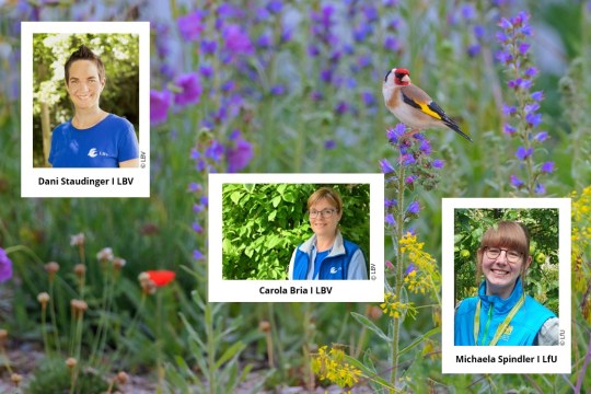 Team Vogelfreundlicher Garten