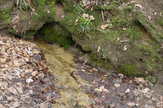 Quellaustritt | ©Zoran Jokic