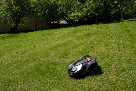 Ein Mähroboter zieht seine Bahn über eine Wiese | © Dr. Eberhard Pfeuffer