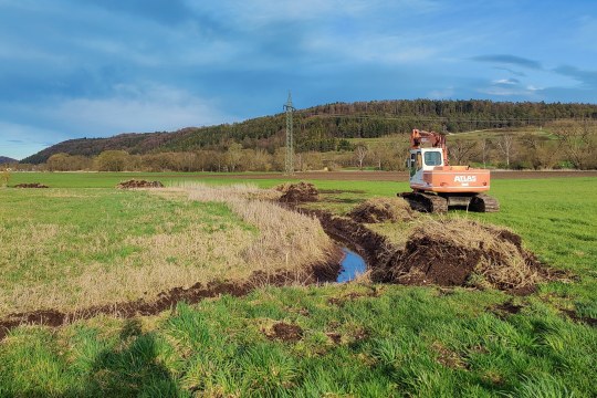 Niedermoor Treuchtlingen | © Sebastian Amler