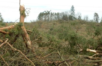 | © Christian Stierstorfer