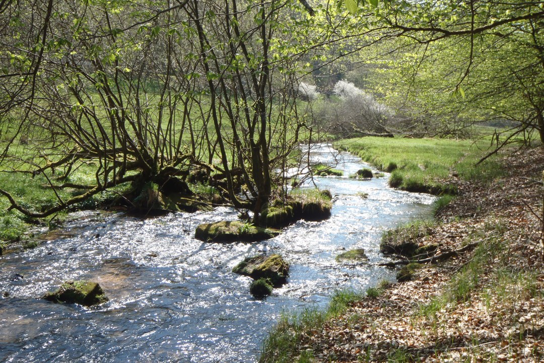 Naturnaher Bach | © Maximilian Sehr