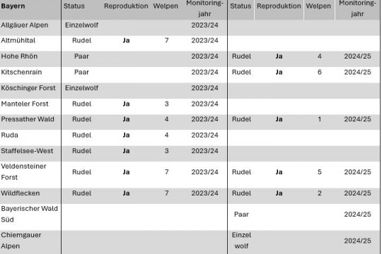 Bestandszahlen Wolfsrudel Bayern