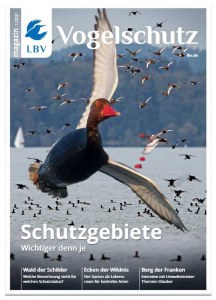 Fliegende Ente auf dem Cover des LBV-Magazins 01/2021