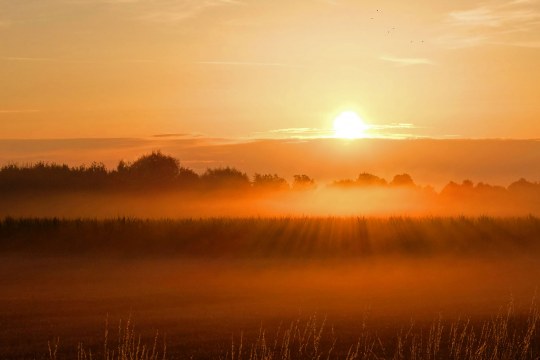 Sonnenaufgang | © Ingo Rittscher