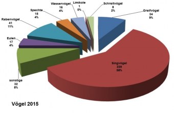 Diagramm Regenstauf | © LBV