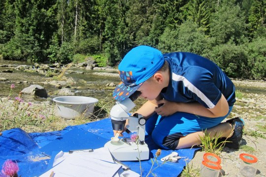 Ein Junge untersucht am Fluss mit einem Mikroskop die Natur | © Monika Schirutschke