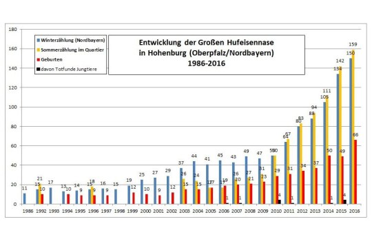 Entwicklung Große Hufeisennase 2016