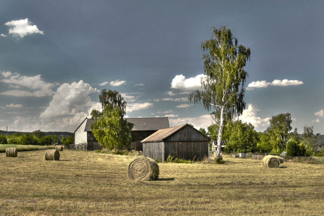 Heuballen liegen verteilt auf einem Feld, dahinter Birken und Gebäude eines Hofs | © Andreas Giessler