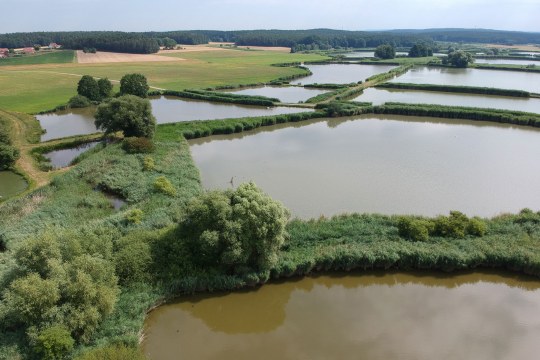 LBV-Schutzgebiet_Westfeldweiher
