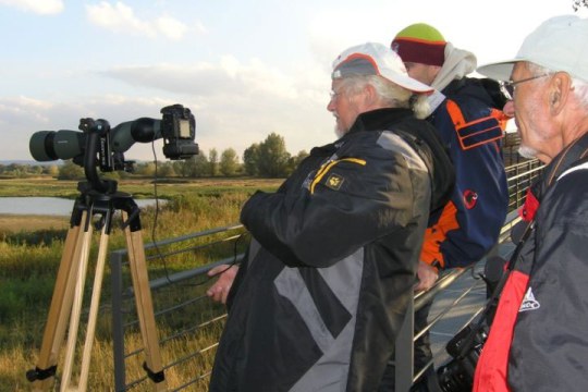 Drei ältere Herren stehen an einem Spektiv auf der Vogelinsel im Altmühlsee | © Christiane Geidel