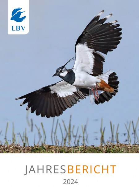 LBV-Jahresbericht 2024, Kiebitz ist auf dem Cover