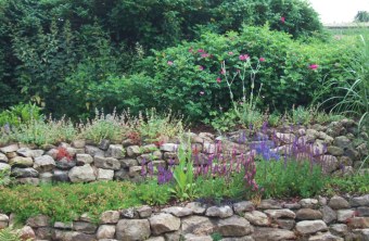 Lesesteinmauern | © B.Helbig