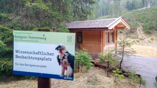 Holzhütte für das Bartgeiermonitoring in der Halsgrube. | © LBV