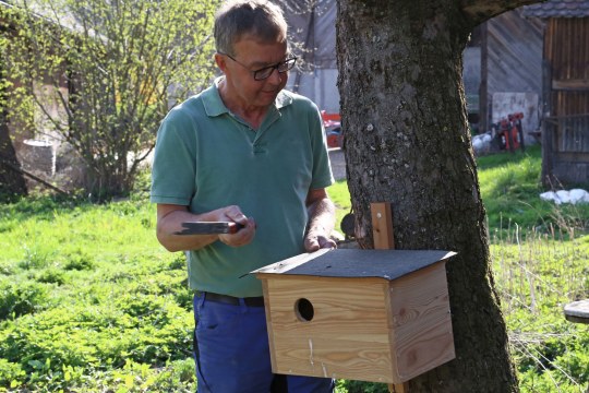 Nisthilfen | © P. Pria