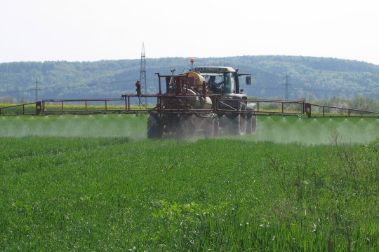 Pestizideinsatz | © Thomas Staab