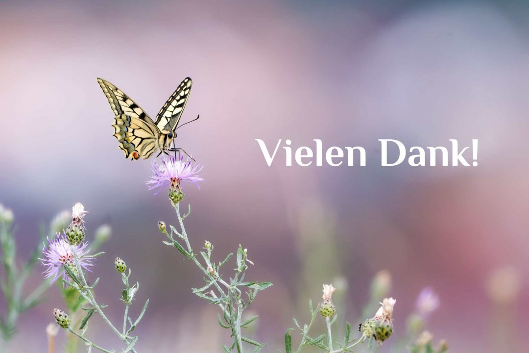 Ein Schwalbenschwanzfalter sitzt auf einer lila Blüte vor einem verschwommenen Hintergrund, begleitet von "Vielen Dank!"-Text. | Nicole Friedrich