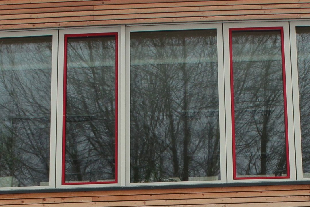 Spiegelung von Bäumen in einer Scheibe | © Anne Schneider