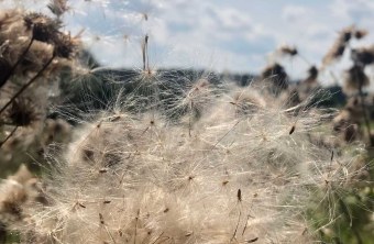 Nürnberger Land | © Susann Hingst (Nürnberger Land)