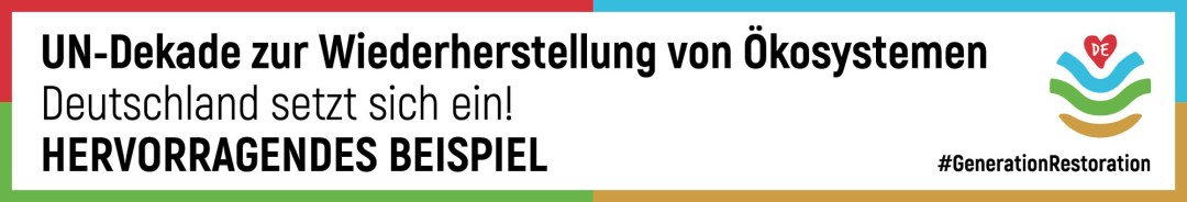 Banner UN-Dekade zur Wiederherstellung Ökosystemen