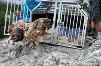 Vinzenz Freilassung 2025 | © Caro Scheiter