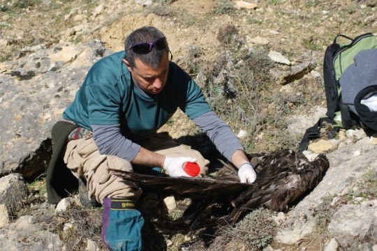 Inigo bei der Untersuchung eines Tatorts | © Privat