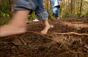 Füße, die über den Waldboden laufen | © Horst Munzig
