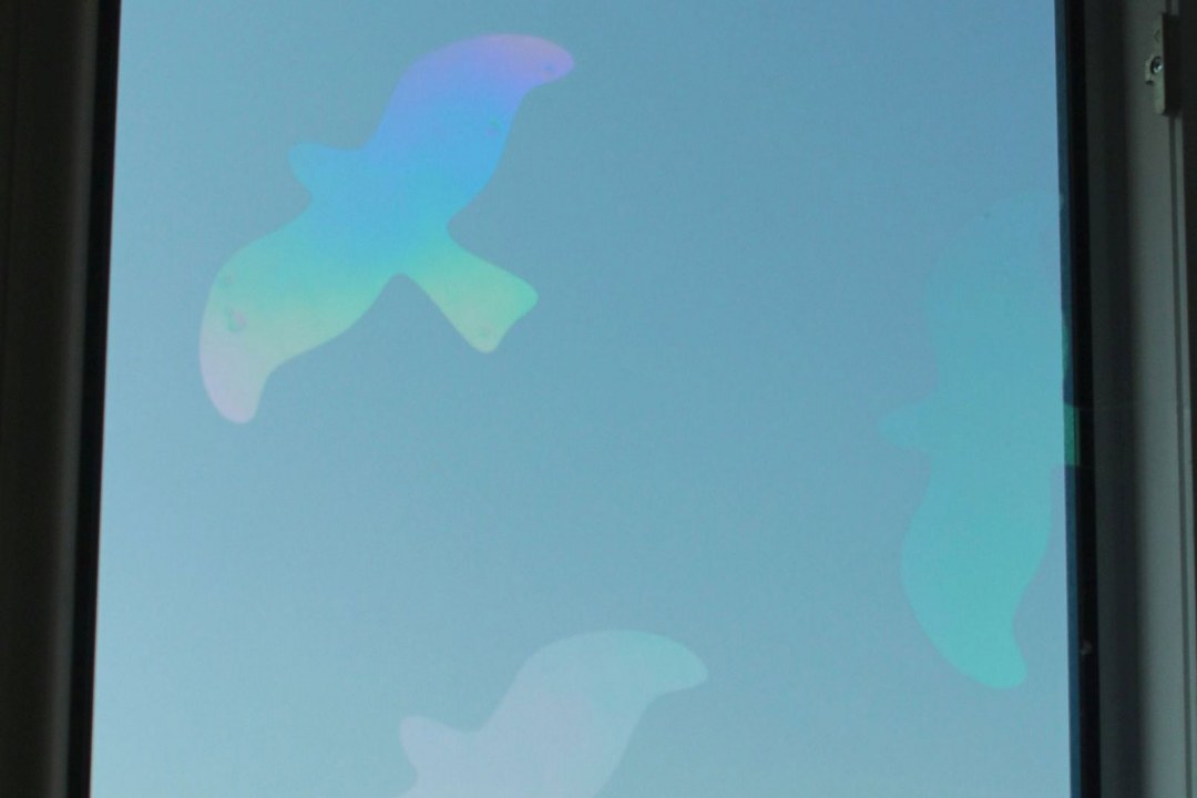 BirdSticker | © Anne Schneider